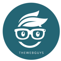 the web guys network limited