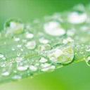 yorkshire heat pumps limited