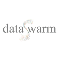 dataswarm limited