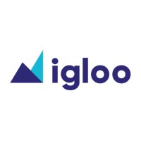 igloo trading solutions limited