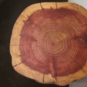 graphene design & build limited