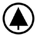 dynamis education ltd