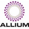 allium lending group limited