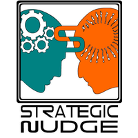 strategic nudge limited