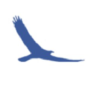 freedom of choyce limited