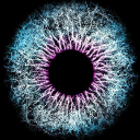 pinpoint data science limited