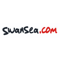 swansea.com ltd