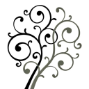 harbour funerals limited