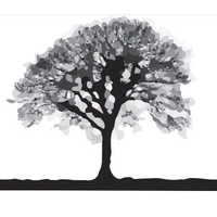 woodvale studios ltd