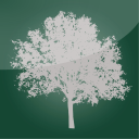 woodland court limited