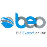 biz expert online limited