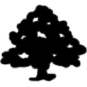 stratford oaks golf club limited