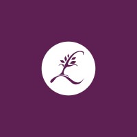 northwood wealth management ltd