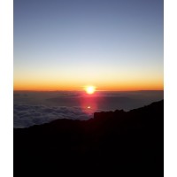 foxham booth limited