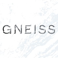 gneiss energy limited