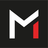 the mina group limited