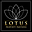 lotus property partners limited