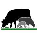 precision grazing ltd
