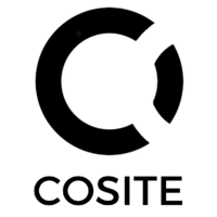 cosite limited