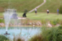 fingle glen golf hotel ltd