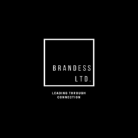 meryl medical limited