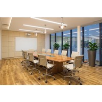 interior resolutions limited