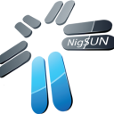 nigsun limited