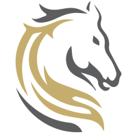 stallions technologies ltd