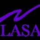 lasa insight ltd