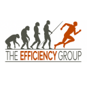the efficiency group ltd