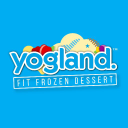 hamptons global limited