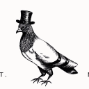 liquid history tours limited