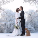 house of thabiso limited