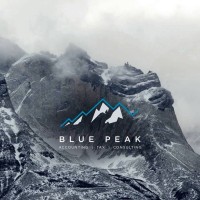 blue peak consulting limited