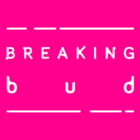 breaking bud limited