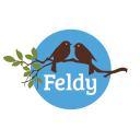 feldyfare limited