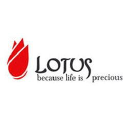 lotus surgical limited