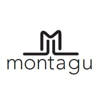 montagu group limited