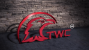 twiceway consulting ltd