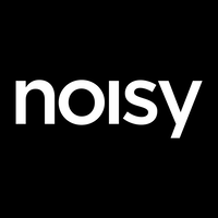 noisy associates limited