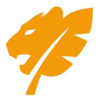 jungle cat solutions ltd