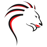 business owner elevation ltd