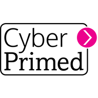 cyber primed limited