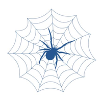 blue spider consulting limited