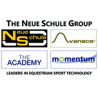 neue schule group limited