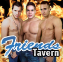 friends tavern limited