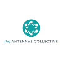 the antennae collective limited