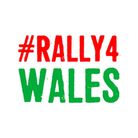 rally4wales contracts ltd