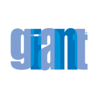 giant finance limited