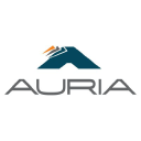 auria solutions ltd.